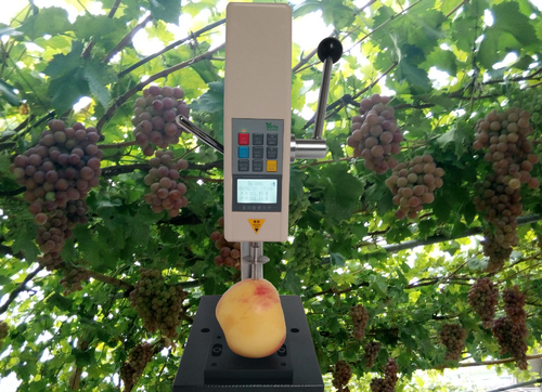 1583733495152781.png 2.png